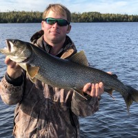 Andy-Trout