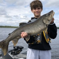 Brody-Trout