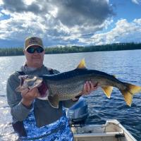 Curtis-Trout