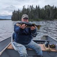 Ron-Walleye