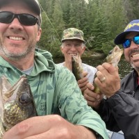 Sawinski-Triple-Walleye