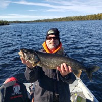 Tim-Trout