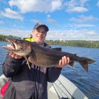 Tom-Trout