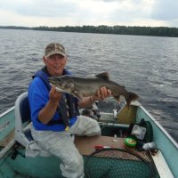 laketrout