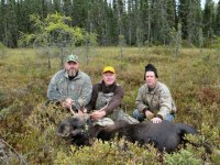 moose hunting canada, moose hunting resort ontario