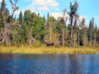 hunting resorts in canada, adventure resorts ontario