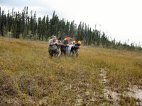 moose hunting canada, adventure resort ontario