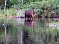adventure resort ontario, ontario hunting trips