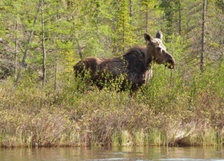 What adventures can I count on having during a fishing trip in Ontario?