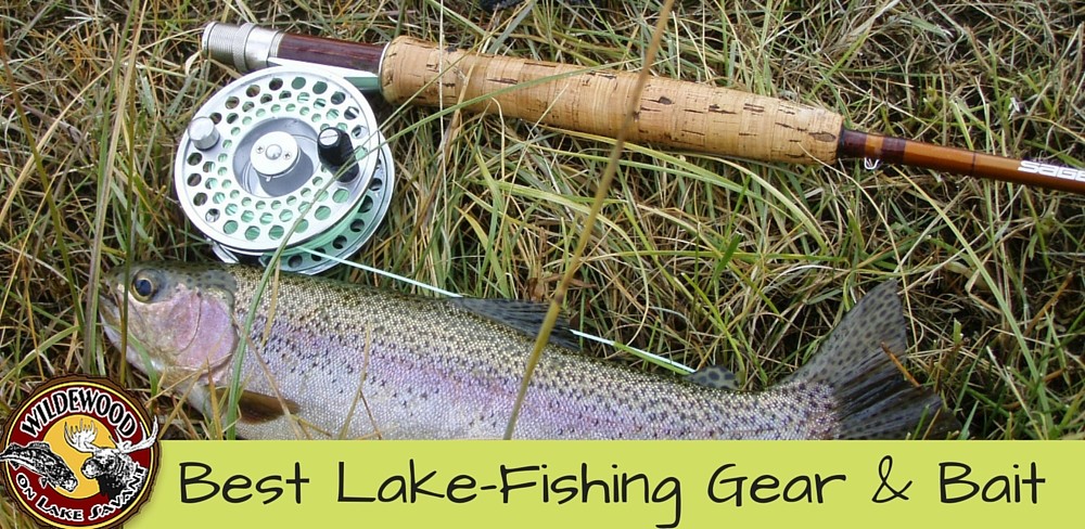 Expert and Local Tips on Best Lake-Fishing Gear and Bait for Lake