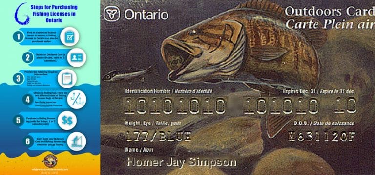 Fishing Licenses In Ontario 1 768x360 