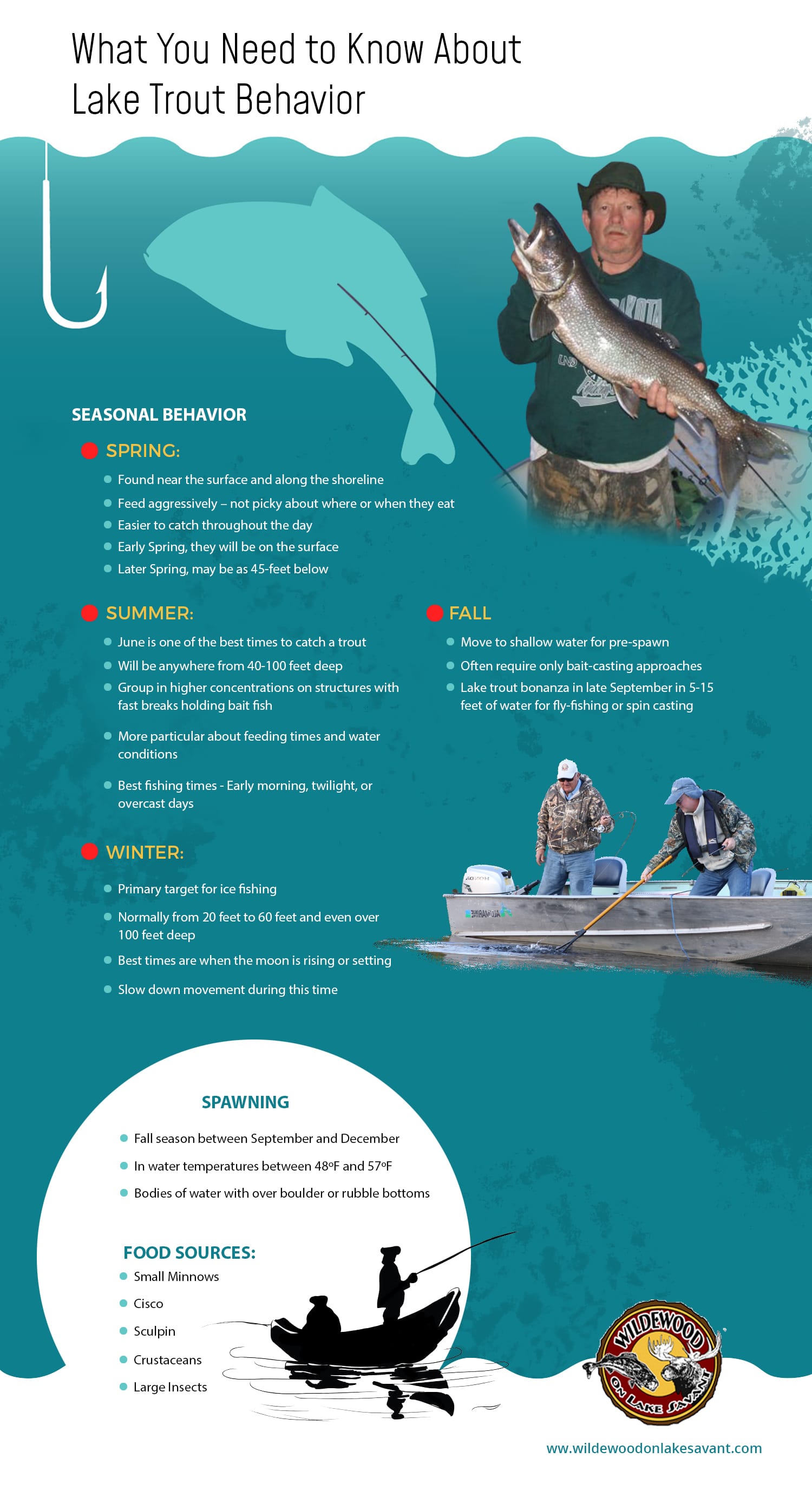 https://wildewoodonlakesavant.com/wp-content/uploads/2019/08/Infographics-Need-to-Know-About-Lake-Trout-Behavior.jpg