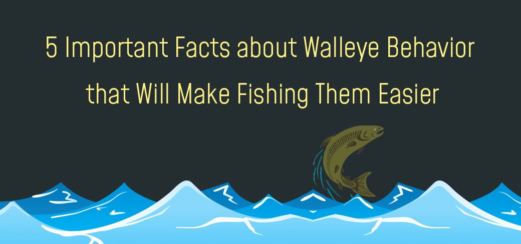 Infographic – Gear Setup Procedure for Walleye Fishing – Wildewood