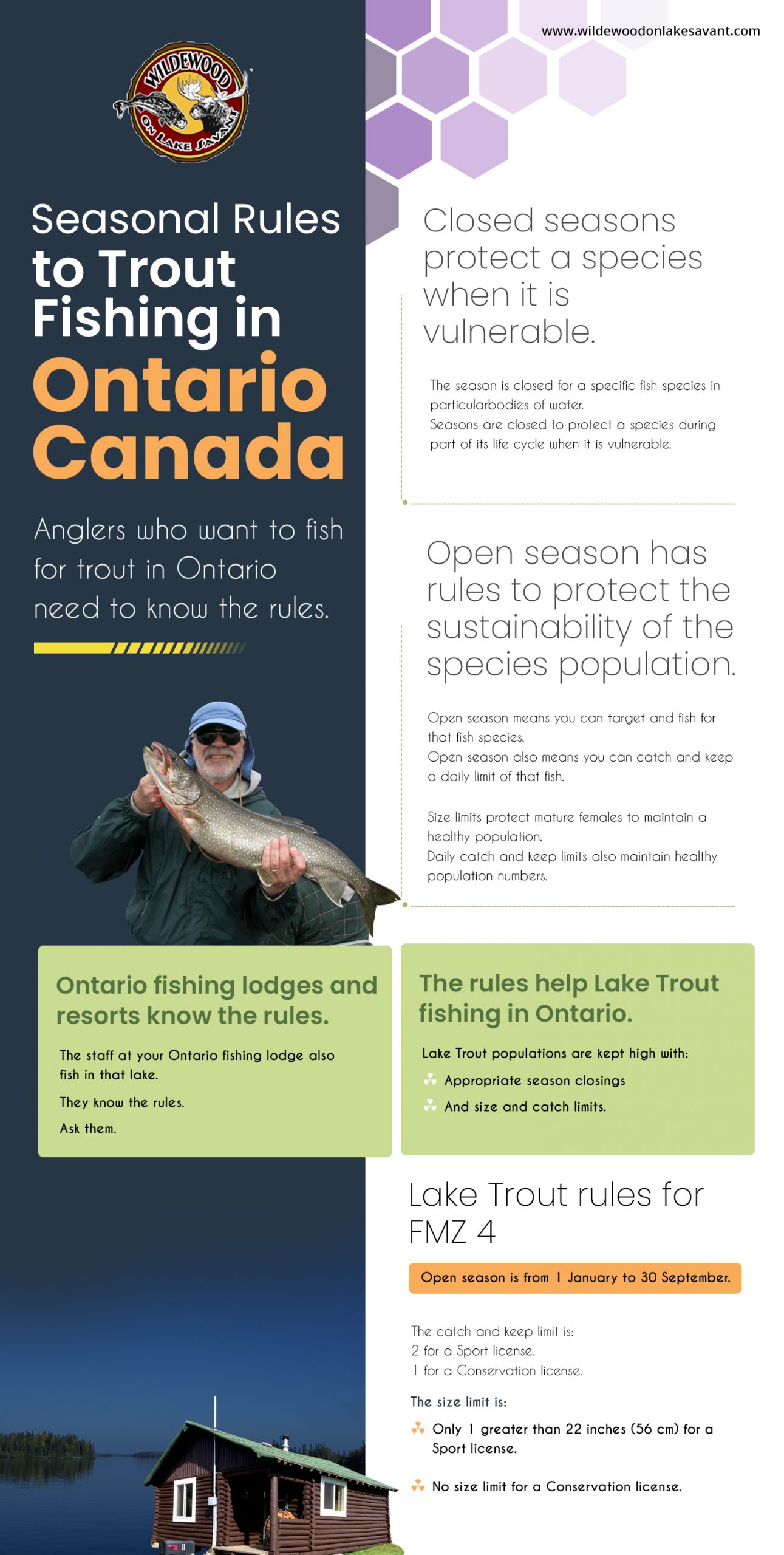 Seasonal Rules to Trout Fishing in Ontario Canada – Wildewood On Lake ...