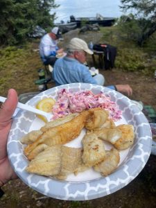 Plan the Ideal Time to Visit!